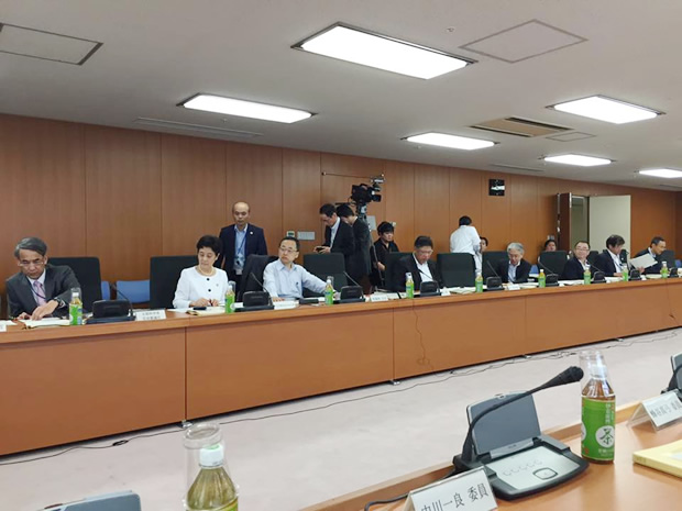 内閣府子ども子育て会議でした。